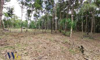 Imagem 7: Chácara para Venda em Campo Largo, Faxina