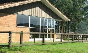 Imagem 7: Campo Largo, 52 alq, 125 ha, Haras, gado ou reflorestamento