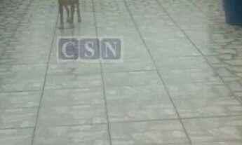 Imagem 5: Sobrado em Jandira / SP - Próximo ao Centro - Oportunidade