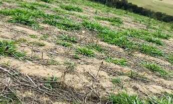 Imagem 6: Lote/Terreno para venda tem 500 metros quadrados em Usina - Atibaia - SP