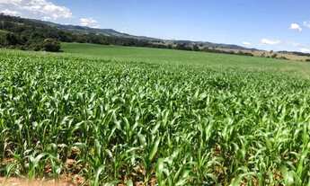 Imagem 5: Fazenda município de itaberai 25/5 alqueires