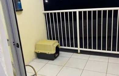 Imagem 3: Alugo apartamento