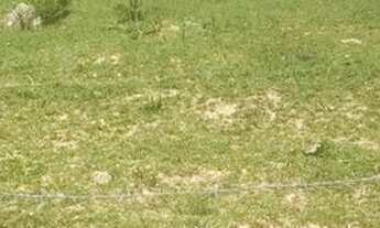 Imagem 4: Terreno Terreno / lote com venda por R$140.000