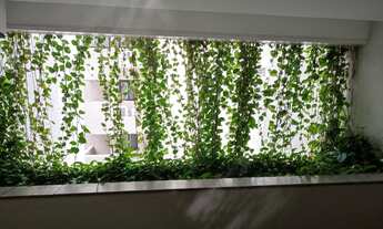 Imagem 6: QTO E SALA!! ENORME!! 60M!! CORAÇÃO PONTA VERDE!! 360 MIL!!