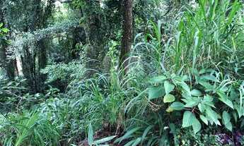Imagem 3: Lindo terreno na Serra da Cantareira