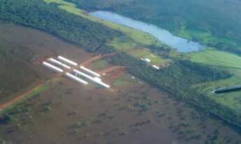 Imagem 3: Fazenda de alta produção de Leite