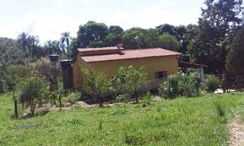 Imagem 4: Vende-se chácara formada com casa