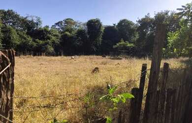 Imagem 5: Goiânia - Rural - <br> Sítios de Recreio dos Bandeirantes