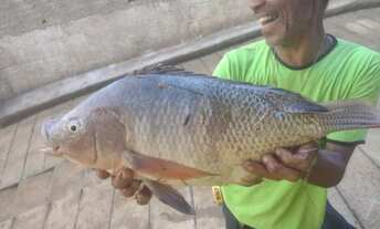 Imagem 2: Chácara bela vista próximo a Santa Rita de MG