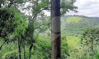 Imagem 5: Lindo terreno na Serra da Cantareira com vista panoramica