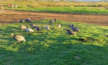 Imagem 7: Fazenda próximo a dois irmãos