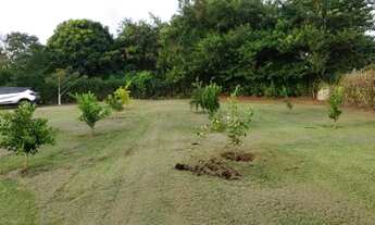 Imagem 4: Chácara de 10.000 M² em Porangaba - SP