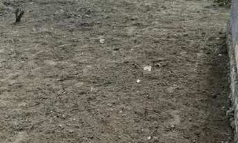 Imagem 3: TERRENO EM CRUZ DAS ALMAS