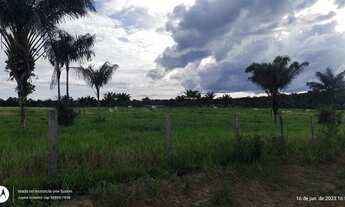 Imagem 2: 100 Hectares fazendinha pronta