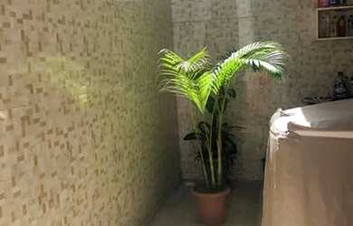 Imagem 7: Casa Para aluguel com 3 quartos em Arembepe