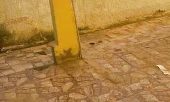 Imagem 6: ALUGA SE 500,00 pagou entrou!