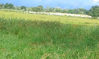 Imagem 4: Fazenda 264 há , 35 km de Cuiabá - mt