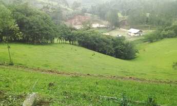 Imagem 6: Sítio espetacular,22 Hectares, plano, com rio, pasto, nascente! Grande Oportunidade!