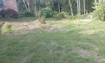 Imagem 5: Chácara em Mandirituba