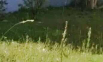 Imagem: Terreno à venda, 400 m² por R$ 450.000