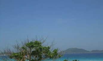 Imagem: Réveillon - Ano novo - 2026 - Paraíso