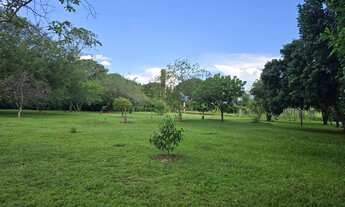 Imagem 3: CHÁCARA 23 mil m2 ESCRITURADA DF