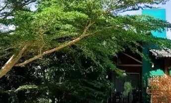 Imagem 2: Excelente casa com Estilo Inspirado pela Natureza, 4 quartos, sendo 2 suítes, Busca Vida