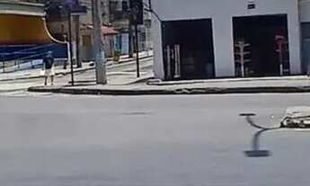 Imagem 3: Imóvel para aluguel possui 100 metros quadrados em Vista Alegre - Rio de Janeiro - RJ