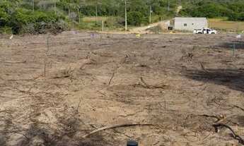 Imagem 4: Terrenos entre Sítio do Conde e Barra de Itariri