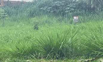 Imagem 7: Lote de esquina jardim Miramar