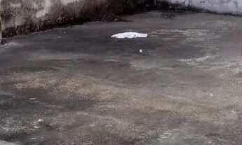 Imagem 2: APARTAMENTO BAIRRO CASTELO