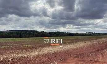 Imagem 3: Área à venda, 314600 m² por R$ 7.600.000,00 - Zona Rural - Rio Verde/GO
