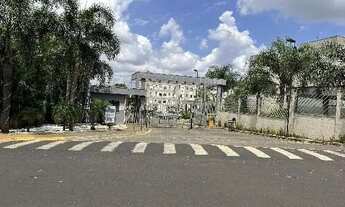 Imagem: Oportunidade Única em RIBEIRAO PRETO