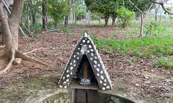 Imagem 6: Fazenda em Várzea da Palma