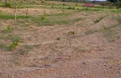 Imagem 5: Vende-se terreno