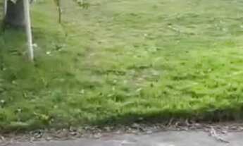 Imagem 7: CASA em rua Nobre Praia do Sonho (Palhoça-Palhoça-SC(NÃO AC.PERMUTA