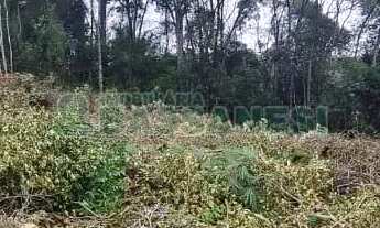 Imagem 2: Terreno Parada Cristal Caxias do Sul