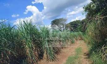 Imagem: Fazenda com 206 alqueires na região de