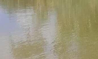 Imagem: Terreno com lagoa