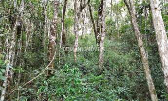 Imagem 2: Lote de Terreno à Venda na Região do Parque Pedra do Baú - Campos do Jordão/SP