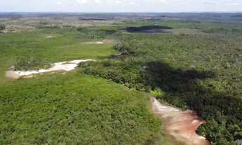 Imagem 6: Vendo excelente Fazenda no município de Jaguaripe