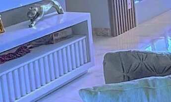 Imagem 1: Apartamento 3 Quartos a venda de para Frente Mar da Praia do Morro finamente mobiliado e d