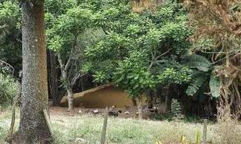 Imagem 6: Òtimo Sítio em Ibiuna SP ...oportunidade!!!!