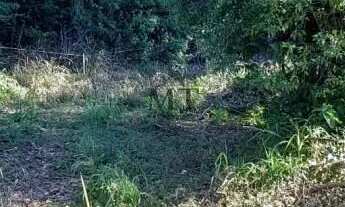 Imagem 3: Área de terra bairro Linha Imperial, Nova Petrópolis. RS REF: 437