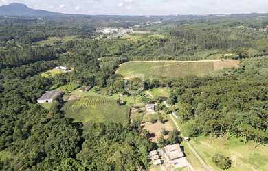 Imagem 5: Sítio com 10 Alqueires a 30 Min de Curitiba Estrutura Completa e 90% Mecanizável