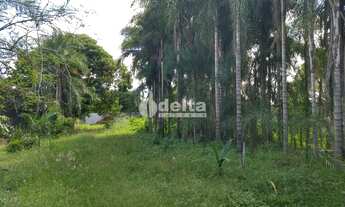 Imagem 4: Chácara Residencial disponível para Venda no bairro Panorama em Uberlândia-MG