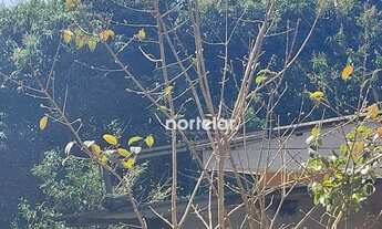 Imagem 5: Chácara à venda, 3700 m² por R$ 1.550.000,00 - Vila Jaraguá - São Paulo/SP