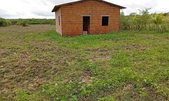 Imagem 3: Terreno no trairi