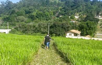Imagem 5: Terreno com vista aberta e natureza