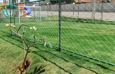 Imagem 4: Aluguel Apartamento com 2 dormitórios